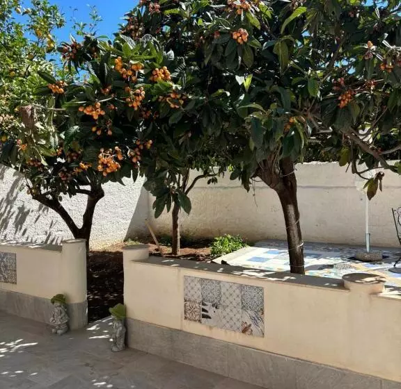پانسیون Residence Prato