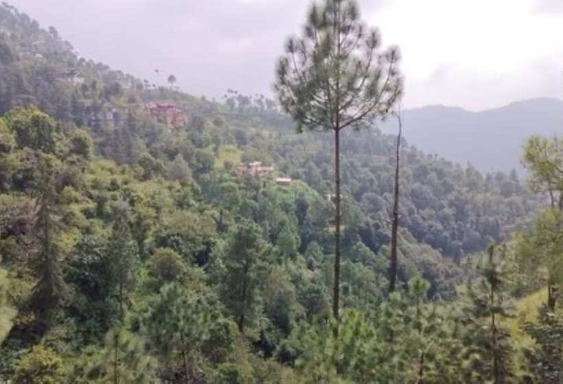 Hotel Goroomgo Sukh Dham Homestay Shimla