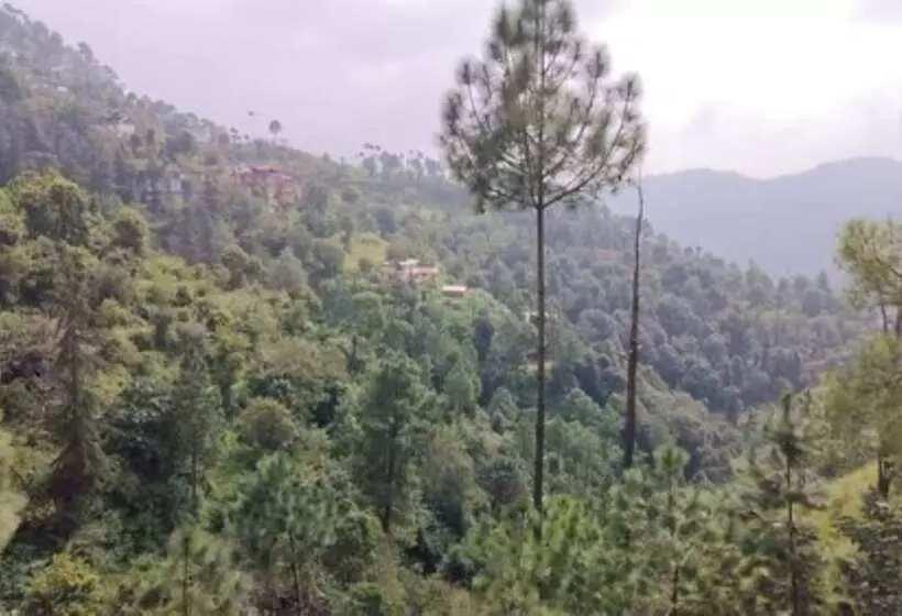 Hotelli Goroomgo Sukh Dham Homestay Shimla