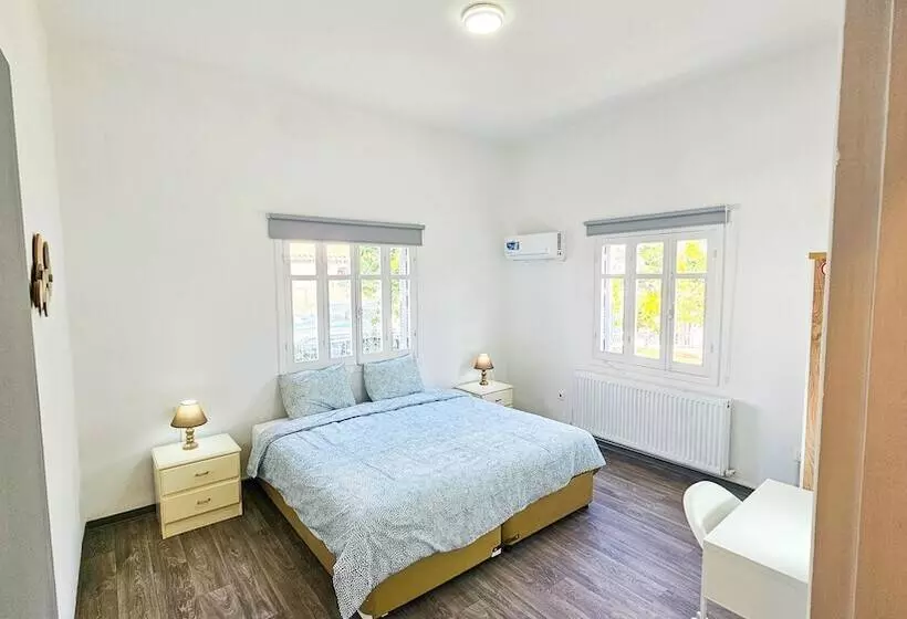 The Lemon Tree Hostel