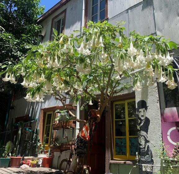 تختخواب و صبحانه Art Hostel Casa Chaman