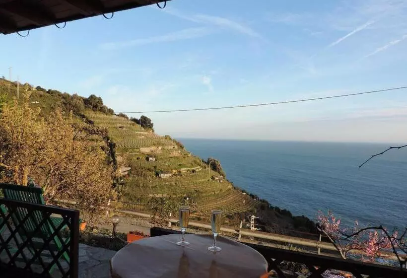 Aamiaismajoitus (B&B) La Serra Sul Mare