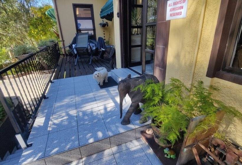 تختخواب و صبحانه Maison Ambre Guesthouse