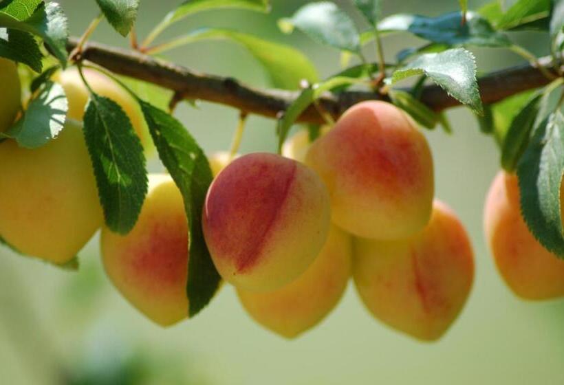 Campastrello Sport Hotel Residence