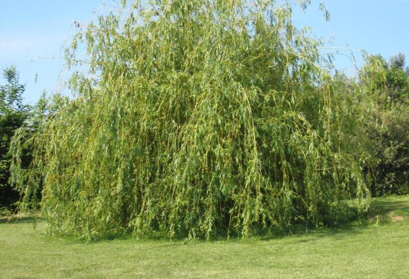 Campastrello Sport Hotel Residence