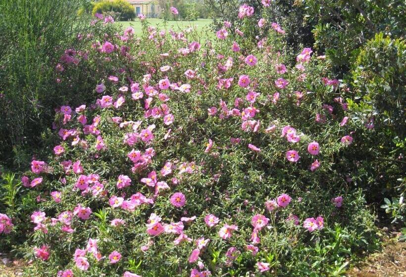 Campastrello Sport Hotel Residence