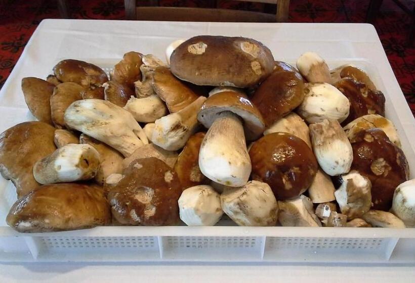 בית מלון כפרי Albergo Musolesi