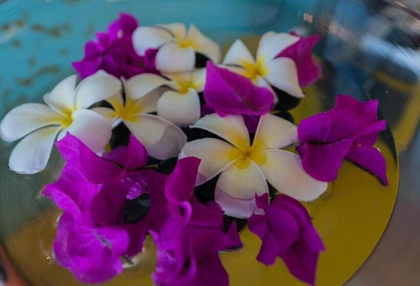 هتل Villa Lodge 4 Epices