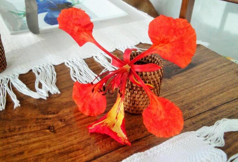 Jardim Dos Aloés, Unique B&b   Casa De Charme