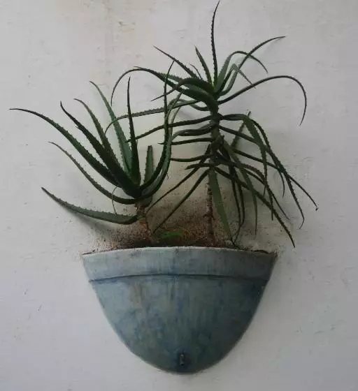 Jardim Dos Aloés, Unique B&b   Casa De Charme