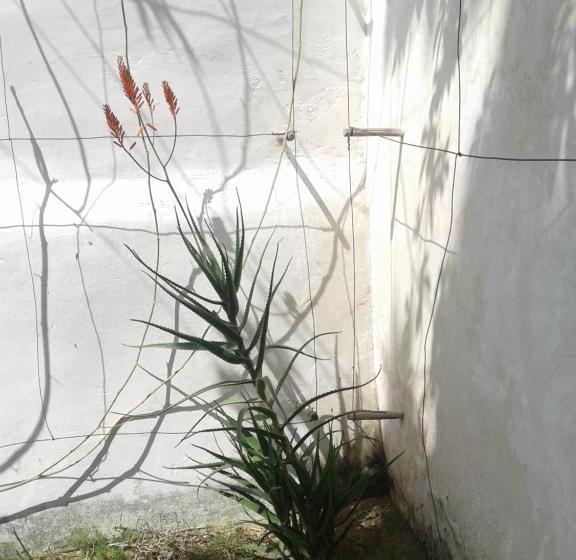 Jardim Dos Aloés, Unique B&b   Casa De Charme