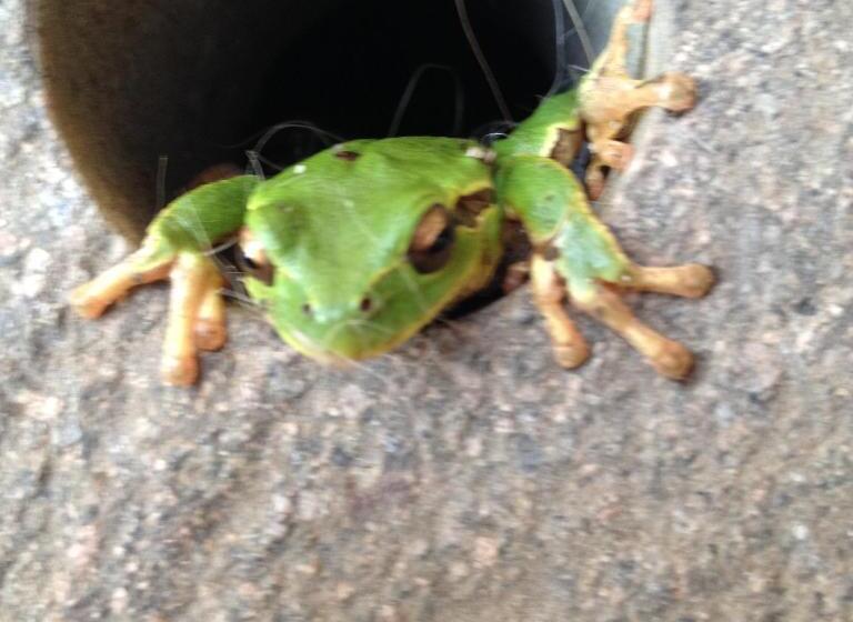 리조트 Agriturismo Macesina