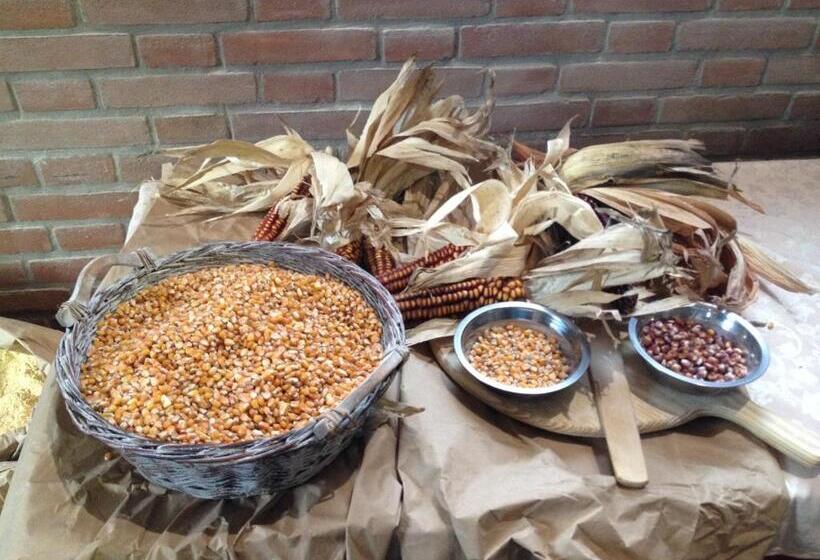 리조트 Agriturismo Macesina