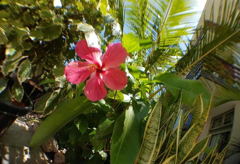 The Sanctuary Hotel Resort Spa