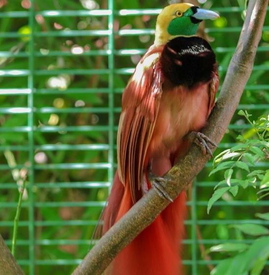 The Sanctuary Hotel Resort Spa