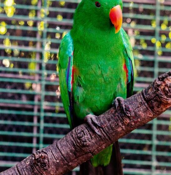 The Sanctuary Hotel Resort Spa