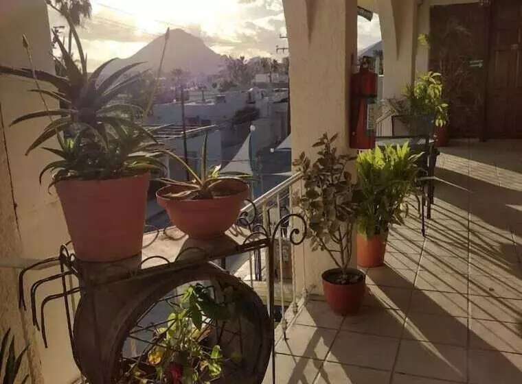 ホテル Terraza Los Cabos