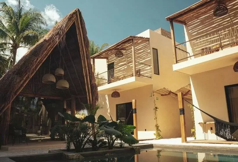 Nikau Hotel El Cuyo   Adults Only