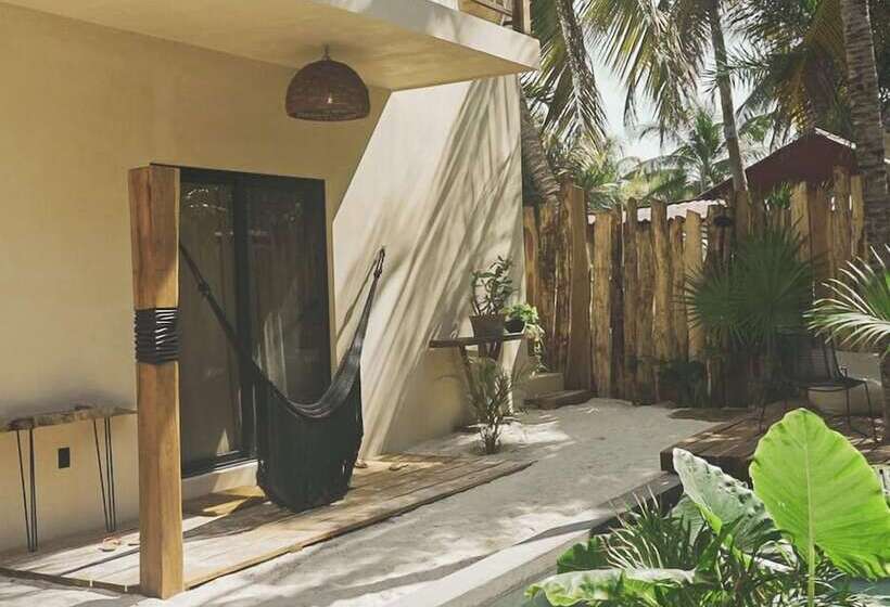 Nikau Hotel El Cuyo   Adults Only