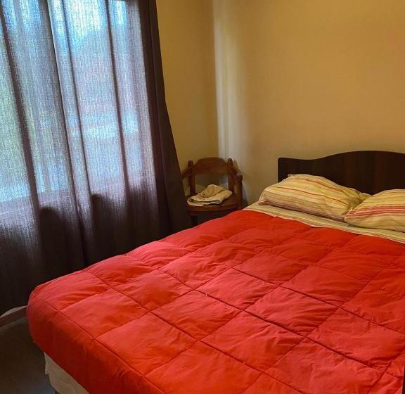 هتل Villarrica Centro 2