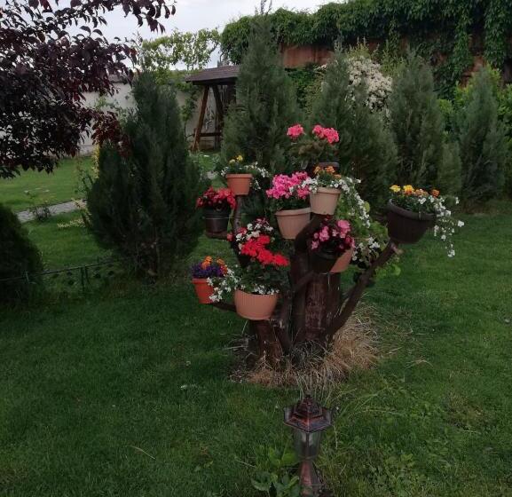 פנסיון Casa Borza