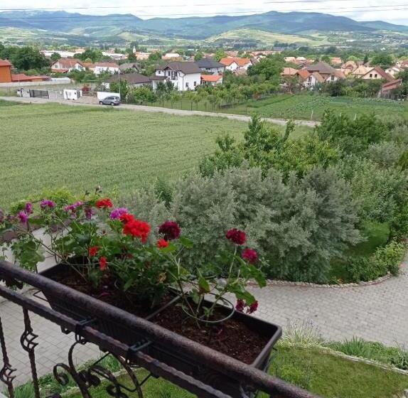 פנסיון Casa Borza