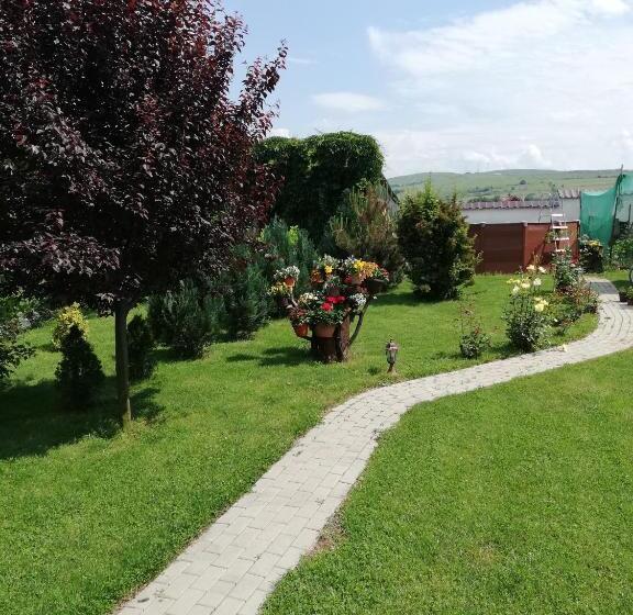 פנסיון Casa Borza