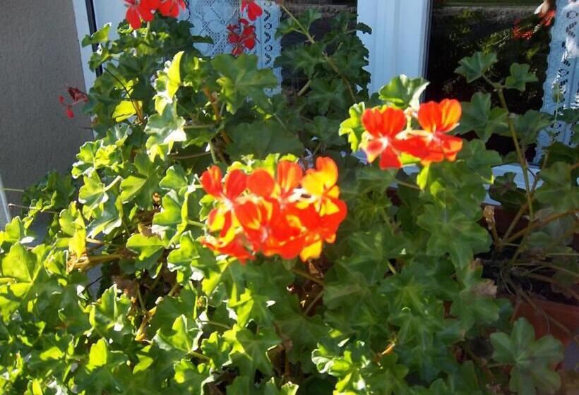 צימר Chambres D Hôtes Farcy La P Tite Transhumance