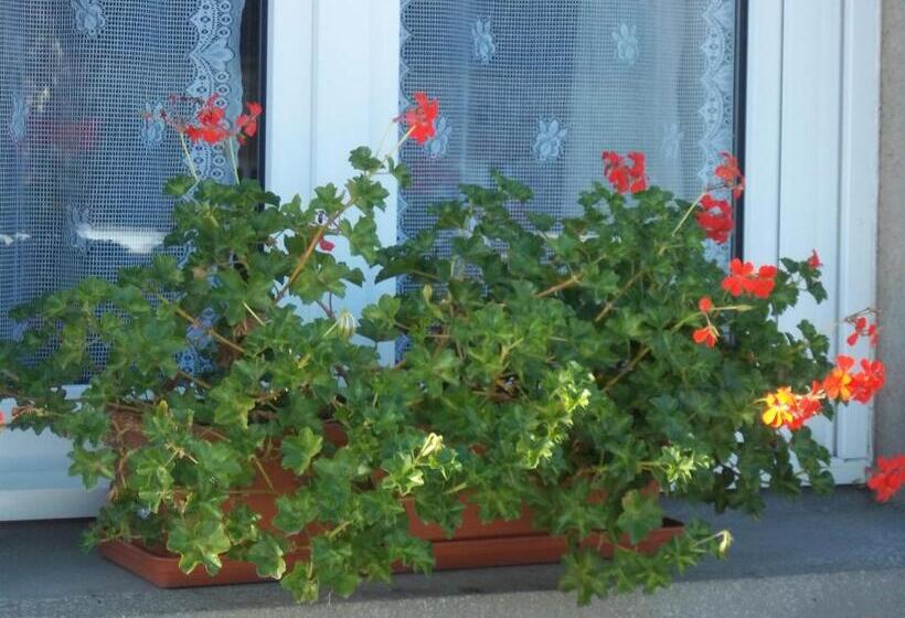 צימר Chambres D Hôtes Farcy La P Tite Transhumance