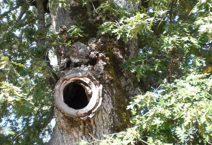 Hotelli Rural Valle Del Tuejar