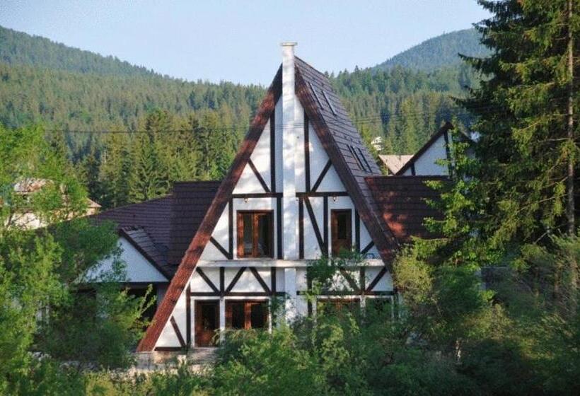 Pensiunea Casa Motului