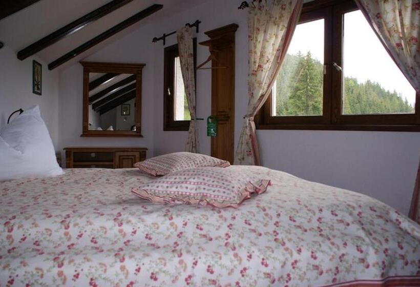 Pensiunea Casa Motului