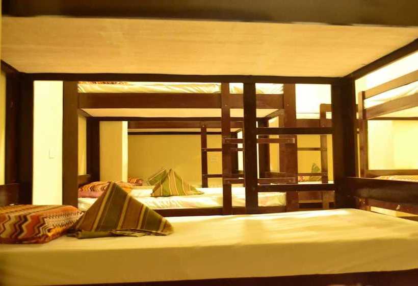 הוסטל Berlay Backpackers & Dormitel