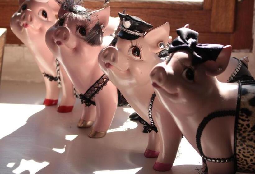 Bed and Breakfast Gavalier Design Rooms