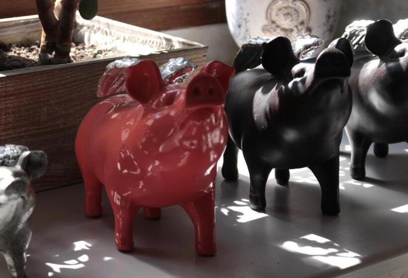 Bed and Breakfast Gavalier Design Rooms