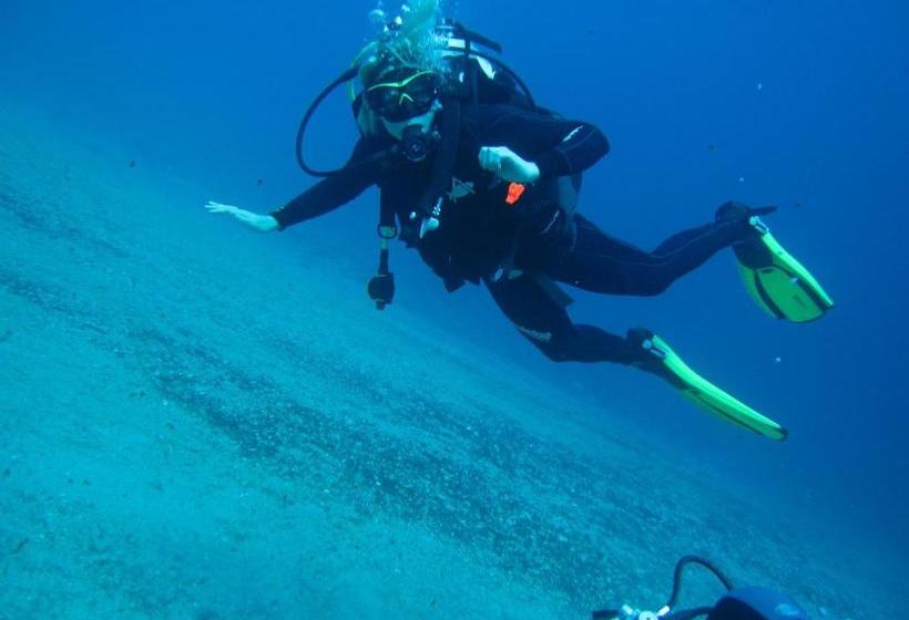 تختخواب و صبحانه Pension Silvia