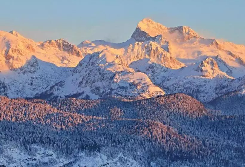 Chalet Hostel Murka