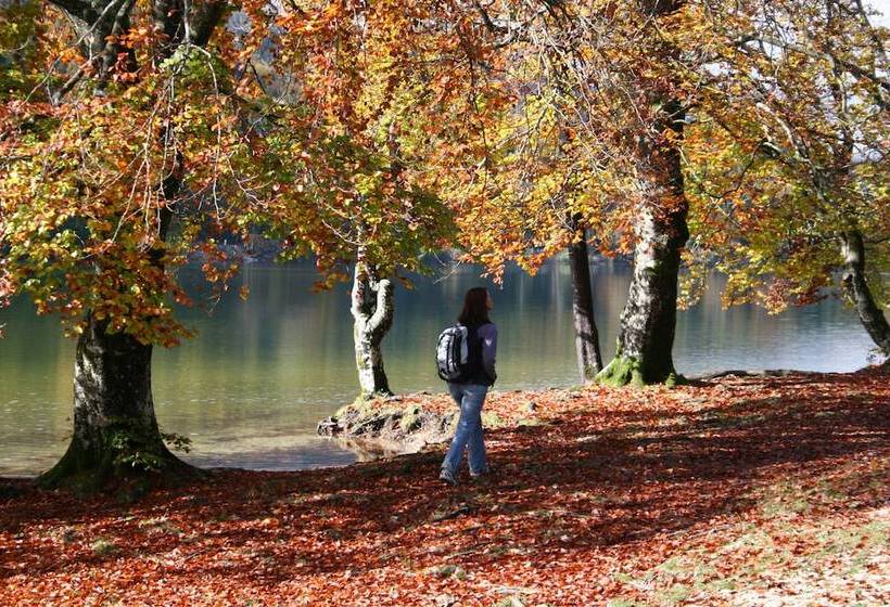 هتل Privillage Stare   B&b