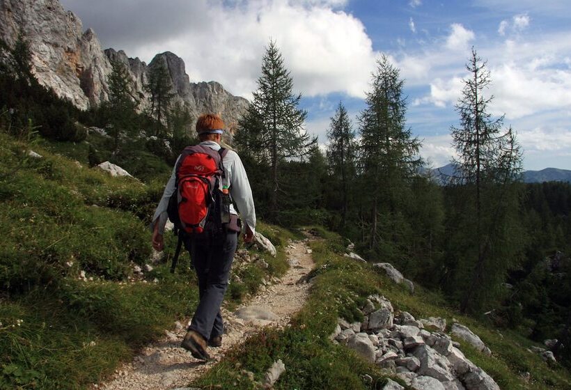 هتل Privillage Stare   B&b