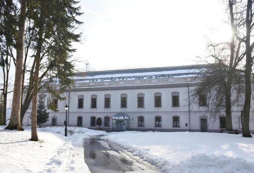 Hotel Gino Park Palace