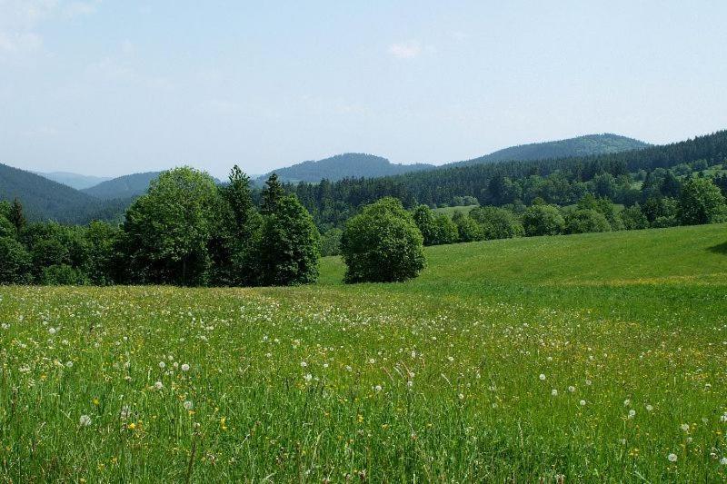 فندق Penzion Stara Fara