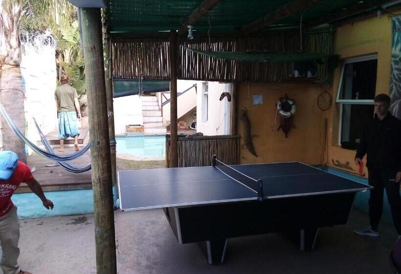 ユースホステル Big Blue Backpackers