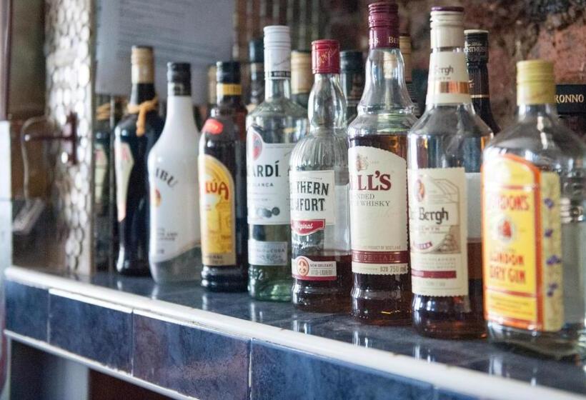 ユースホステル Big Blue Backpackers