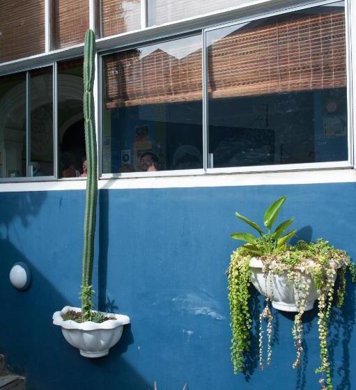 ユースホステル Big Blue Backpackers