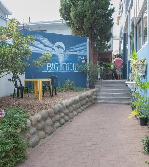 ユースホステル Big Blue Backpackers