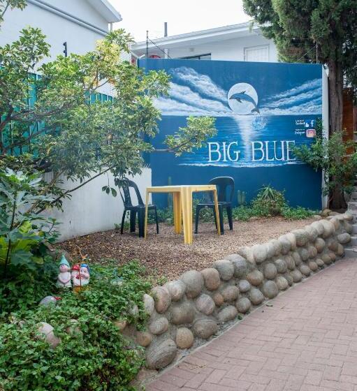 ユースホステル Big Blue Backpackers