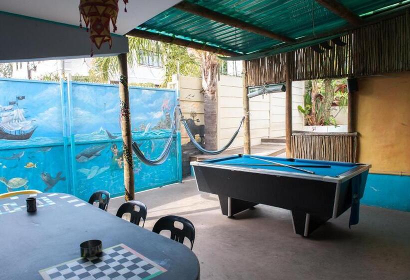 ユースホステル Big Blue Backpackers