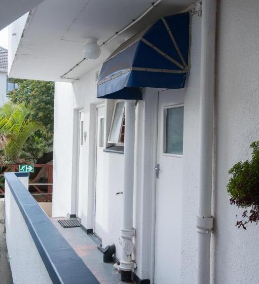 ユースホステル Big Blue Backpackers