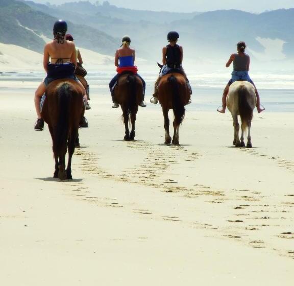 ユースホステル Buccaneers Beach Lodge, Chintsa, South Africa