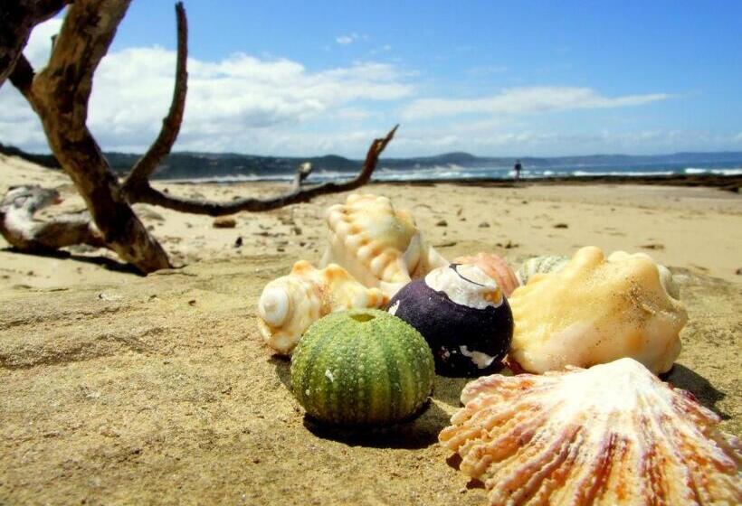 ユースホステル Buccaneers Beach Lodge, Chintsa, South Africa